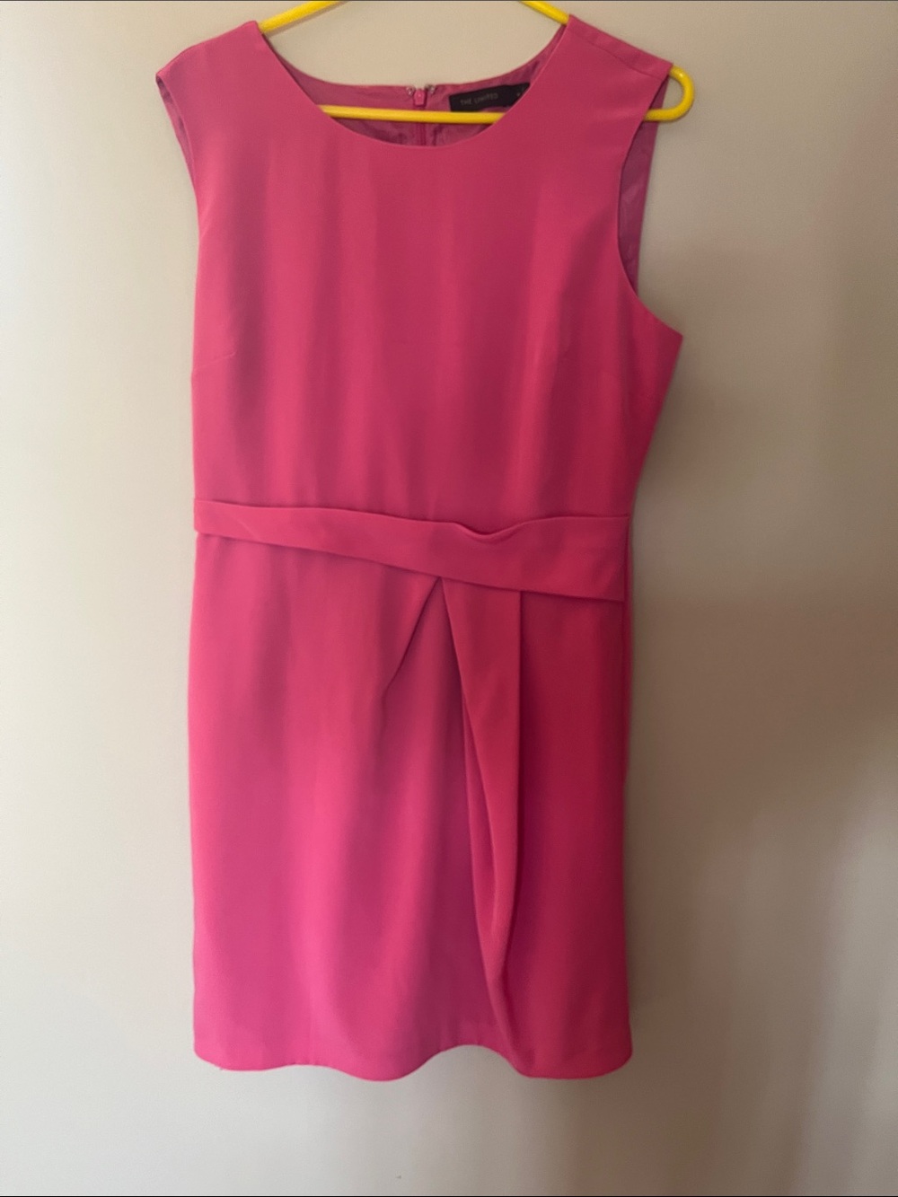 The Limited Pink Sleeveless Sheath Dress with Waist Pleat